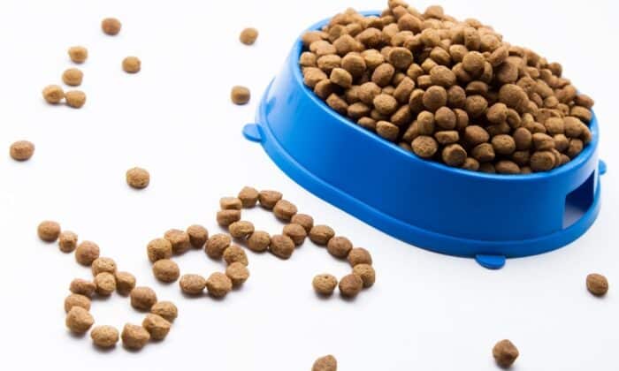 Croquettes Ultra Premium pour chien